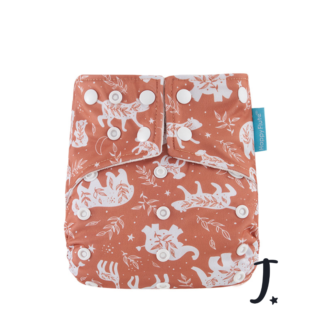 All-In-One Diaper - snap in insert - various prints