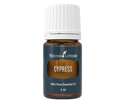 Cypress Essential Oil