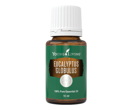 Eucalyptus Globulus Essential Oil