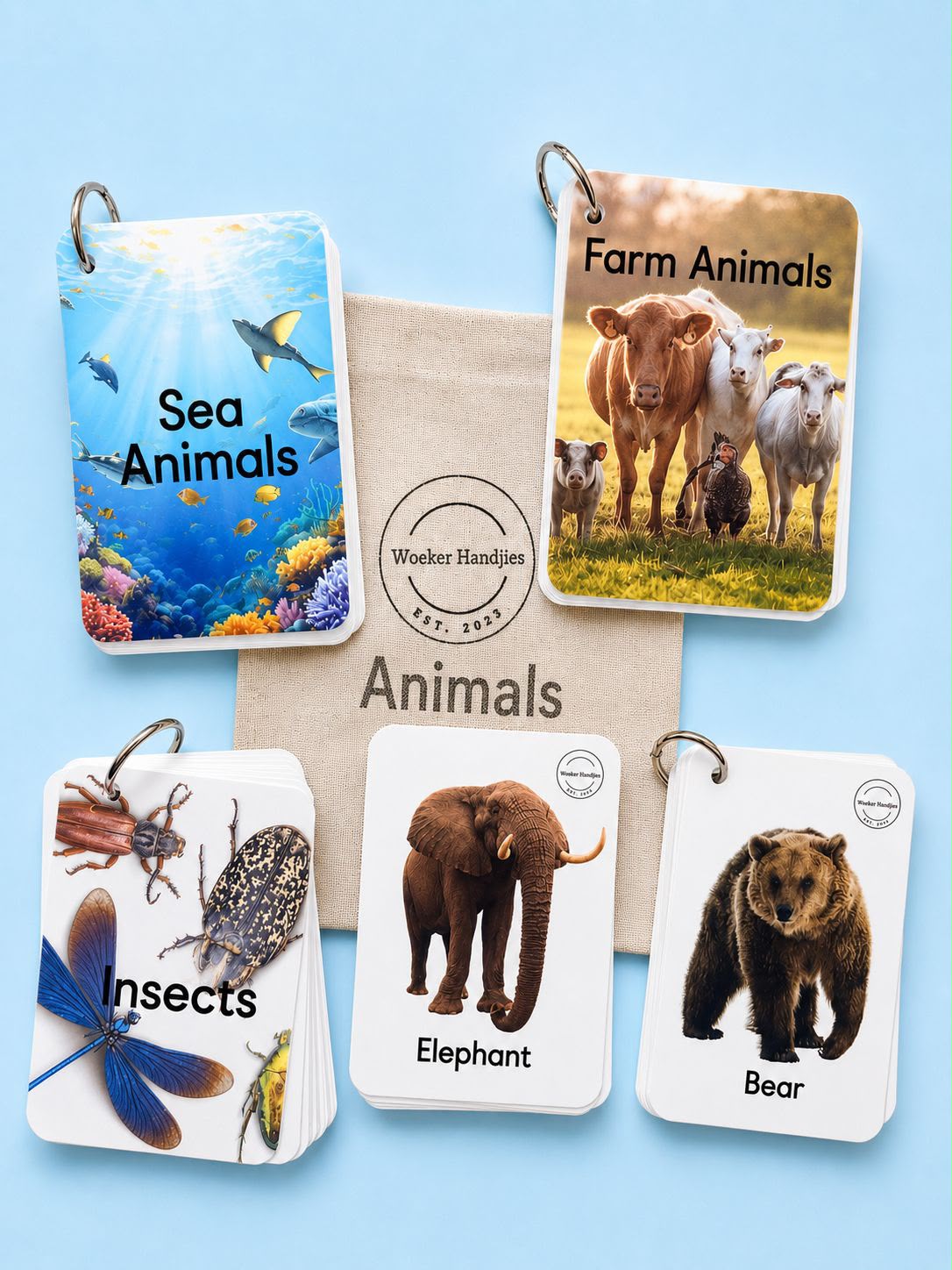 Woeker Handjies educational flash cards