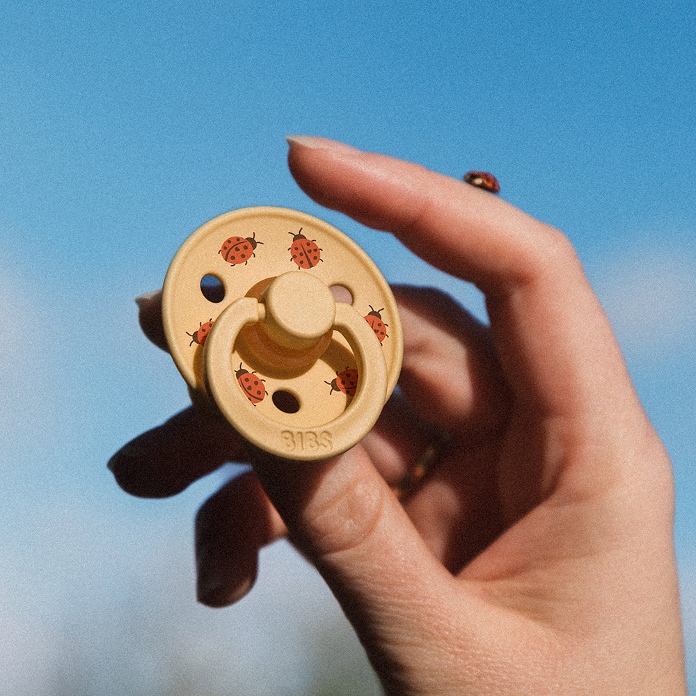 BIBS - Studio Colour Pacifiers - 2 Pack - Ladybug