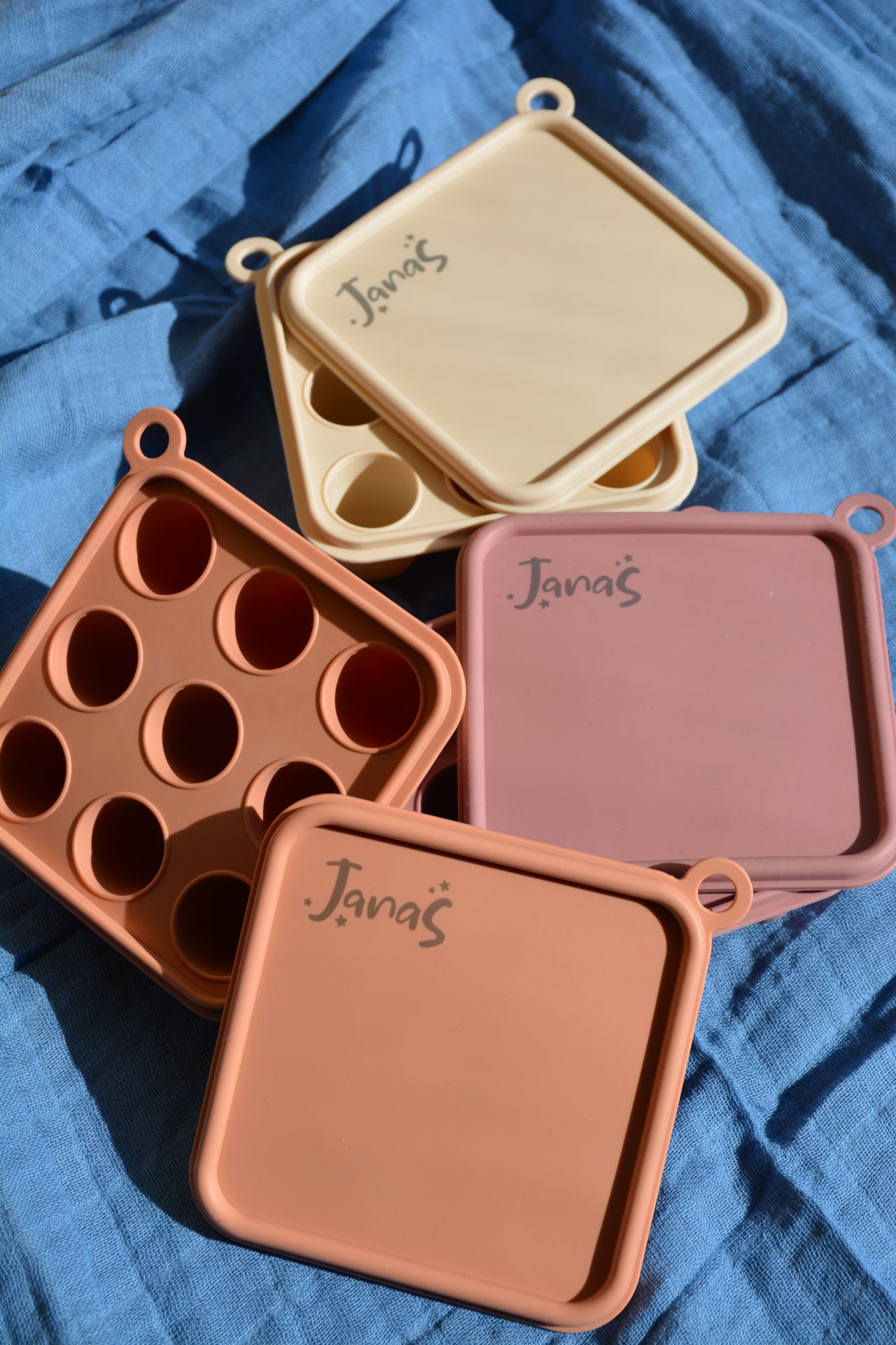 Fruit feeder ice tray only