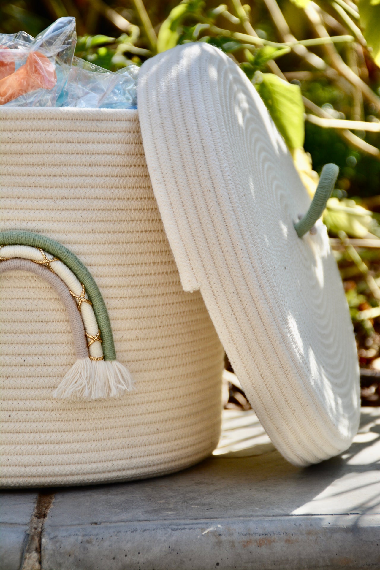Rainbow rope basket - with lid sage