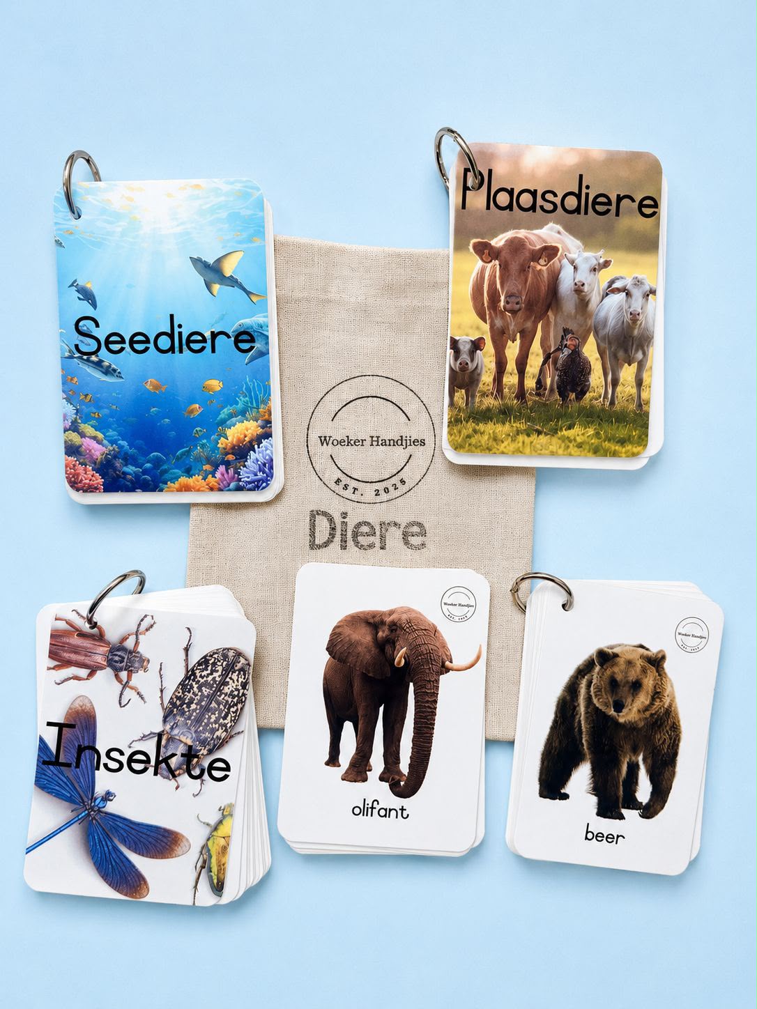 Toddler learning flash cards