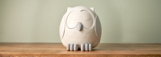 Snowy the owl diffuser