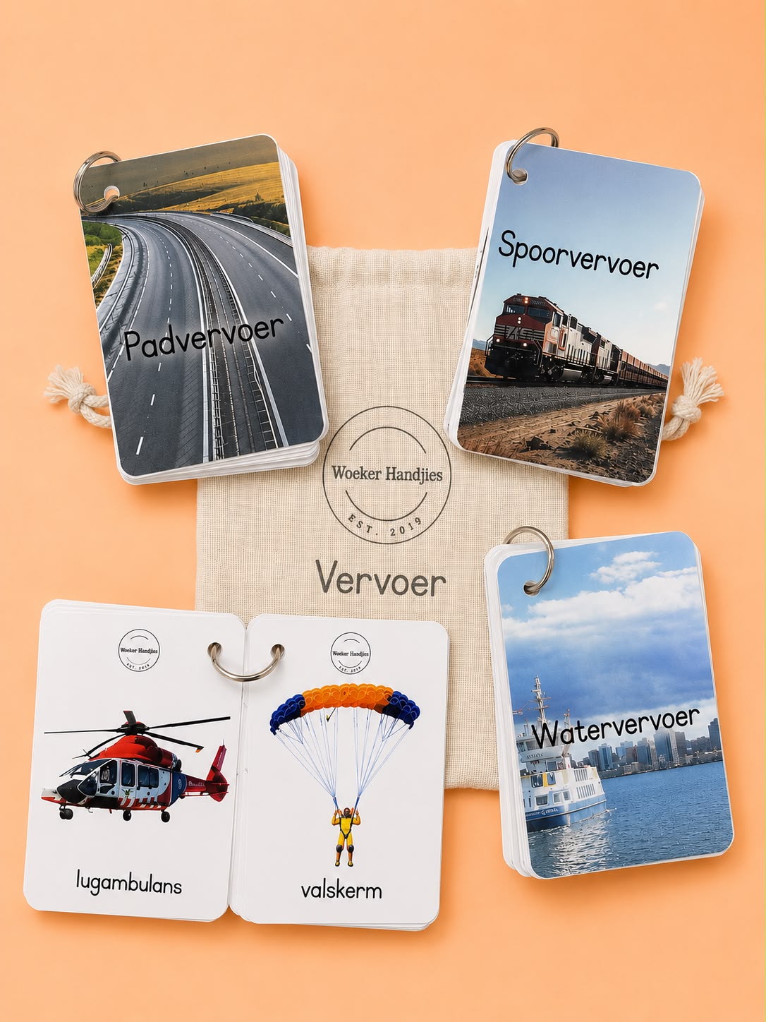 Early learning vocabulary cards