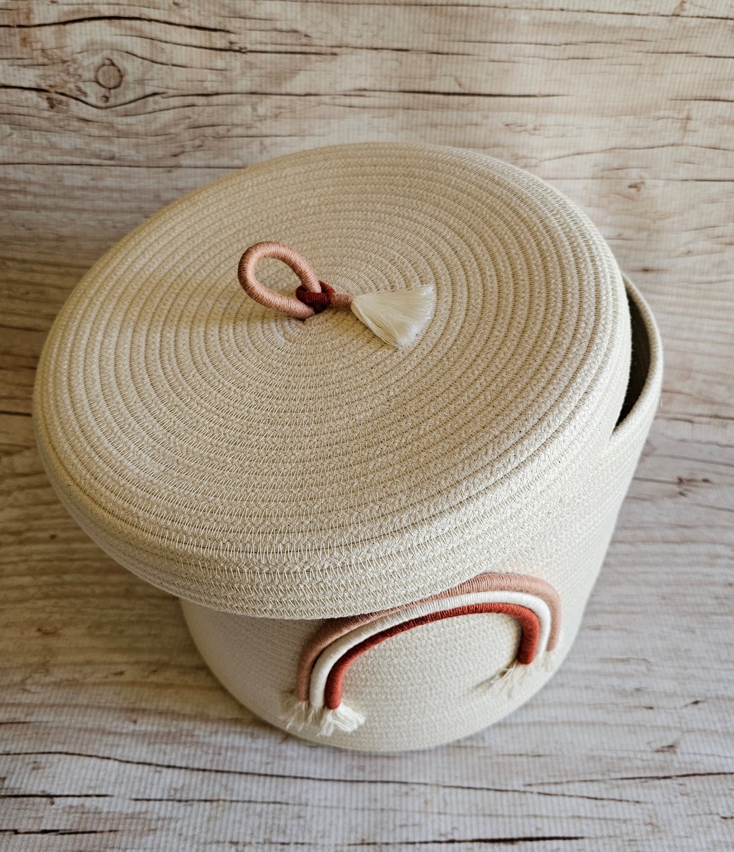 Rainbow rope basket - with lid