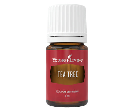 Tea Tree Essential Oil